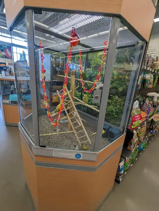 Petco Picture 4