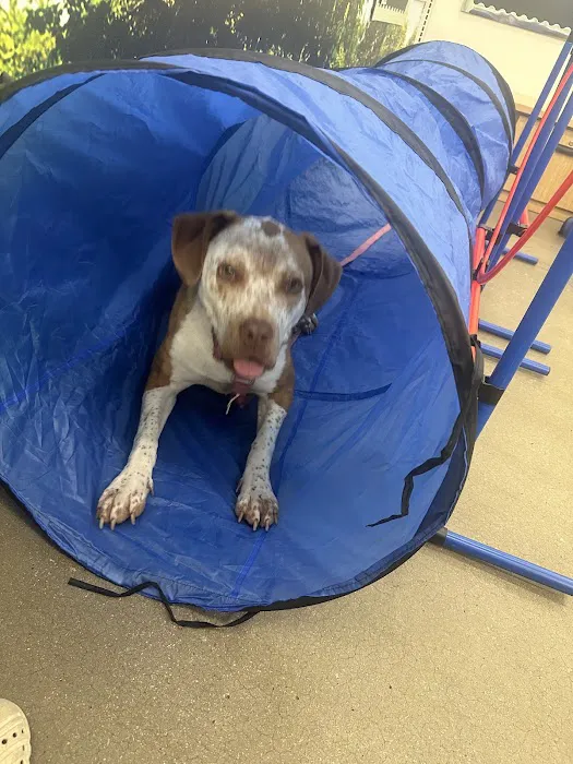 Petco Picture 9