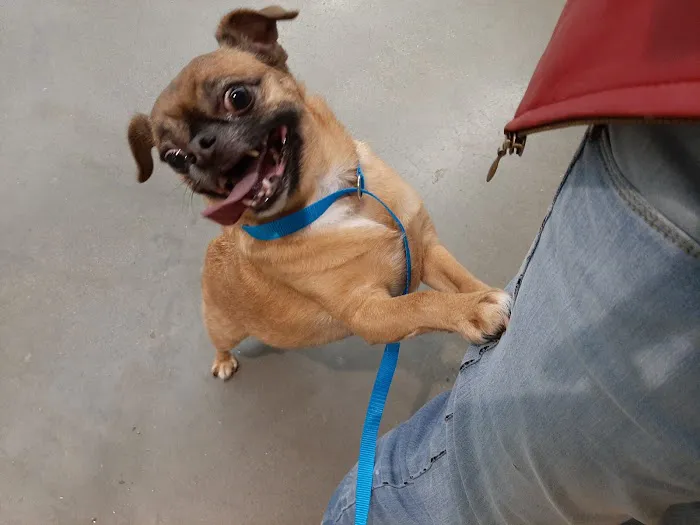 Petco Picture 10