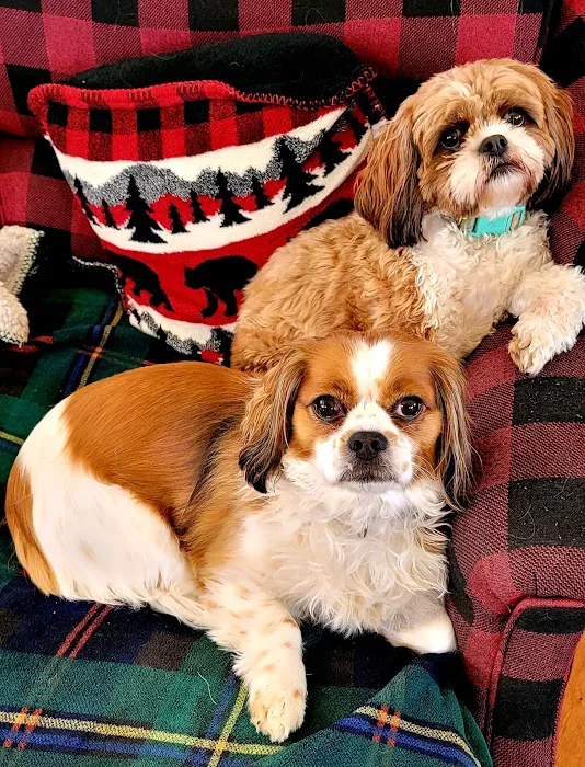 Cranford Animal Hospital Picture 7