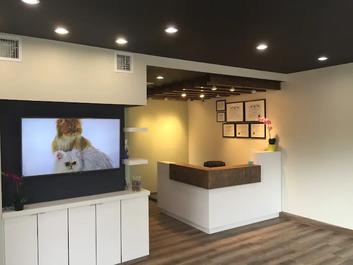 Cranford Animal Hospital Picture 10