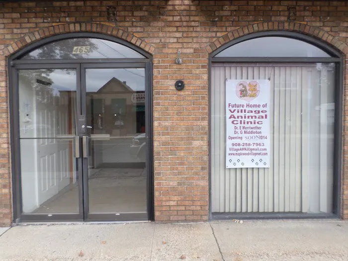 Village Animal Clinic, LLC Picture 10