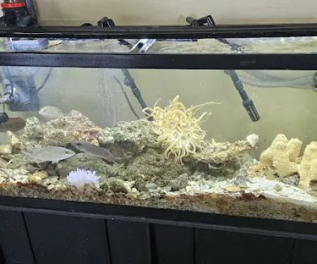 Central Garden & Pet Co