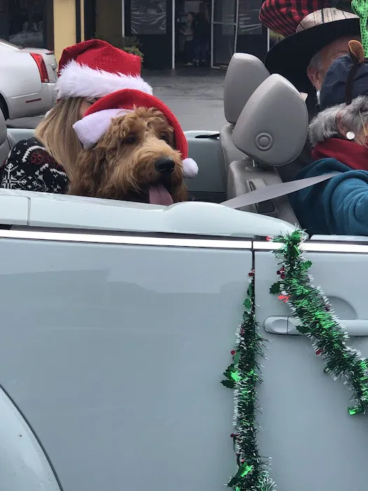 Local Pup Picture 2