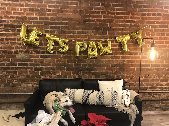 Local Pup Picture 1