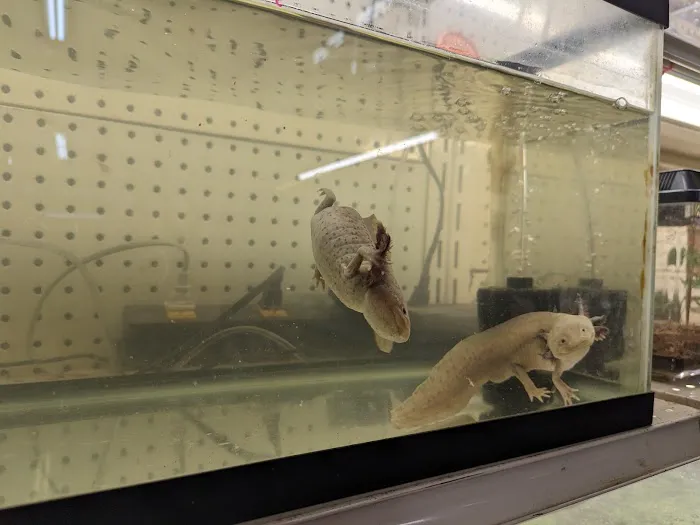 GHC Exotics Pets And Supplies Picture 2