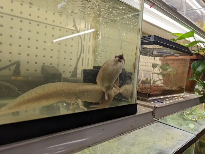 GHC Exotics Pets And Supplies Picture 3