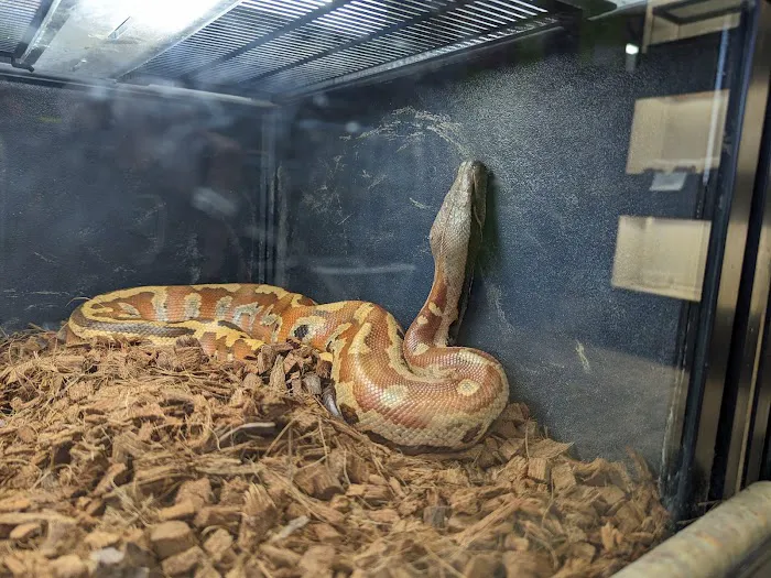 GHC Exotics Pets And Supplies Picture 4