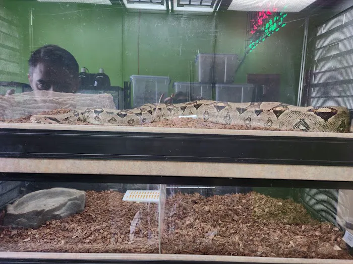 GHC Exotics Pets And Supplies Picture 9