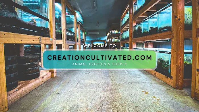 Creation Cultivated Picture 1