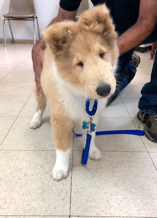 Boulevard Veterinary Clinic Picture 9