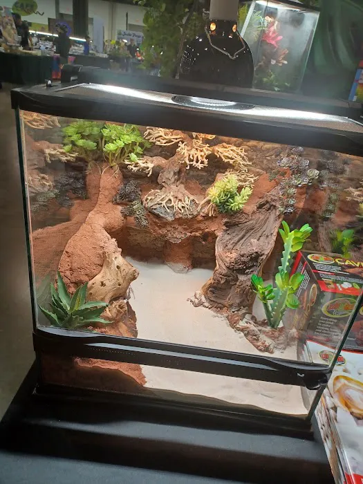 R3N3GAD3 REPTILES Picture 2