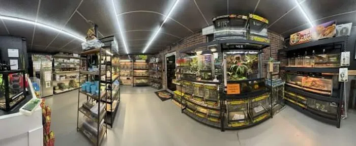 R3N3GAD3 REPTILES Picture 3
