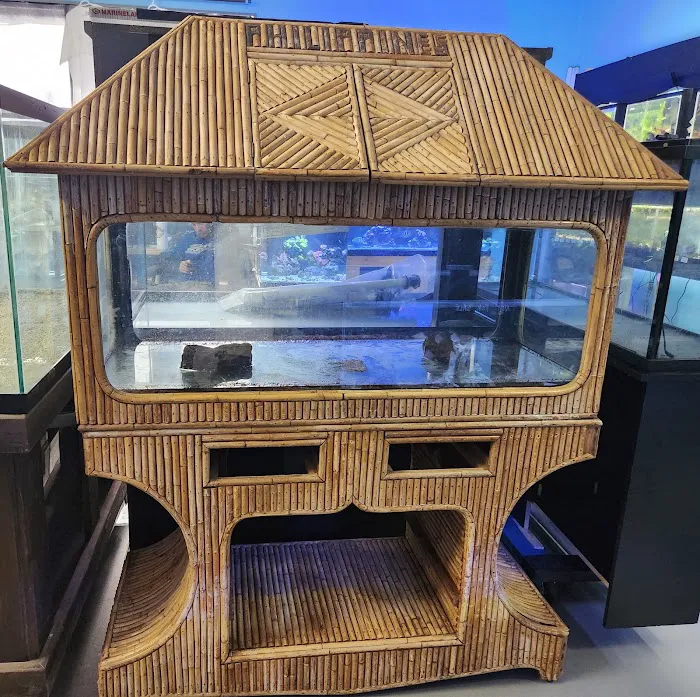 Under The Sea Aquatics Picture 6