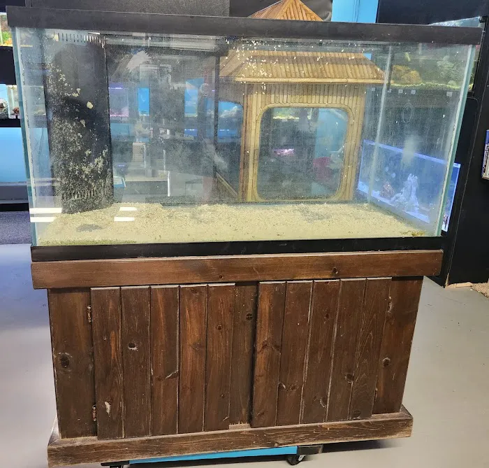 Under The Sea Aquatics Picture 10