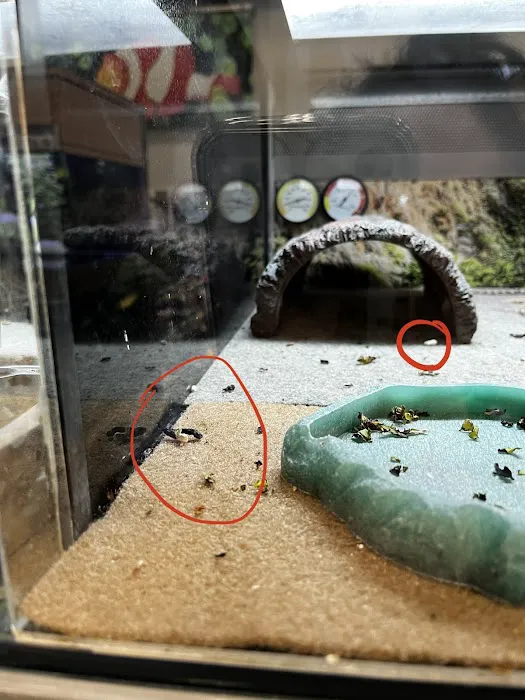 Petco Picture 8