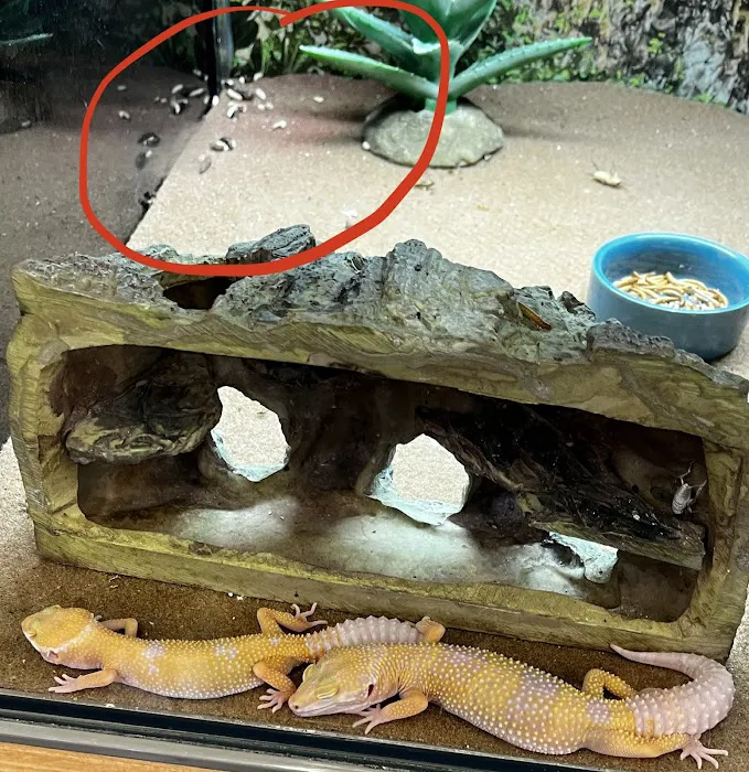 Petco Picture 9