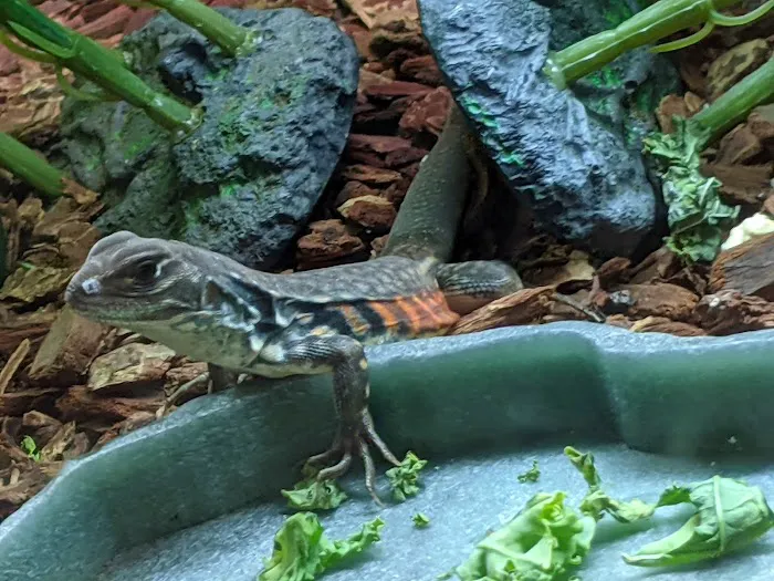 Petco Picture 4