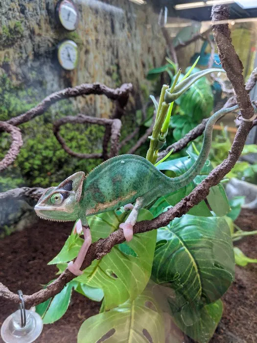 Petco Picture 5