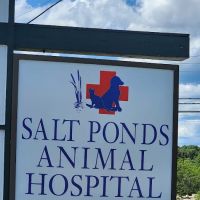 Salt Ponds Animal Hospital ico