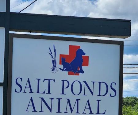 Salt Ponds Animal Hospital