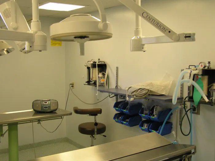 VCA Cromwell Animal Hospital Picture 8