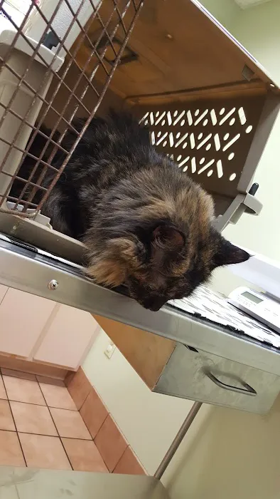 VCA Cromwell Animal Hospital Picture 4