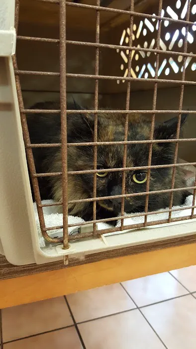 VCA Cromwell Animal Hospital Picture 6
