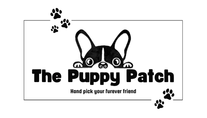 The Puppy Patch Picture 9