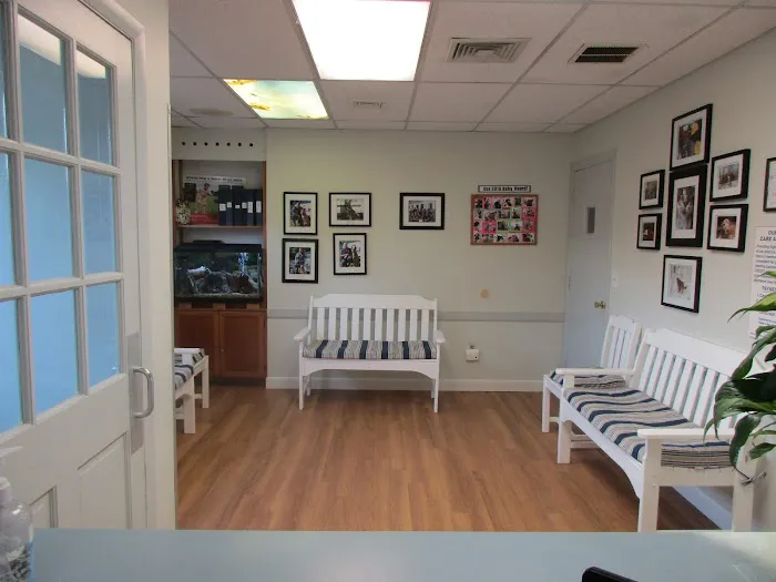 North Windham Animal Hospital Picture 5