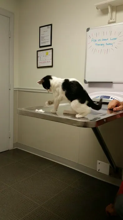 North Windham Animal Hospital Picture 7