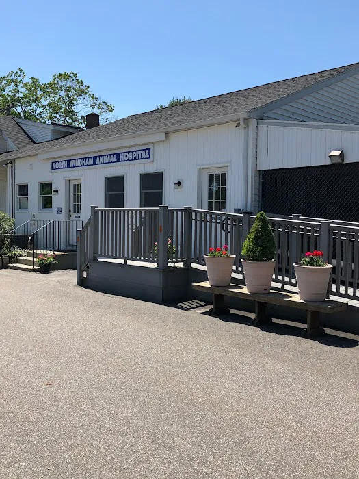 North Windham Animal Hospital Picture 3