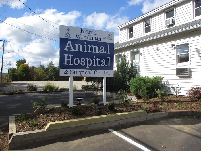 North Windham Animal Hospital Picture 4