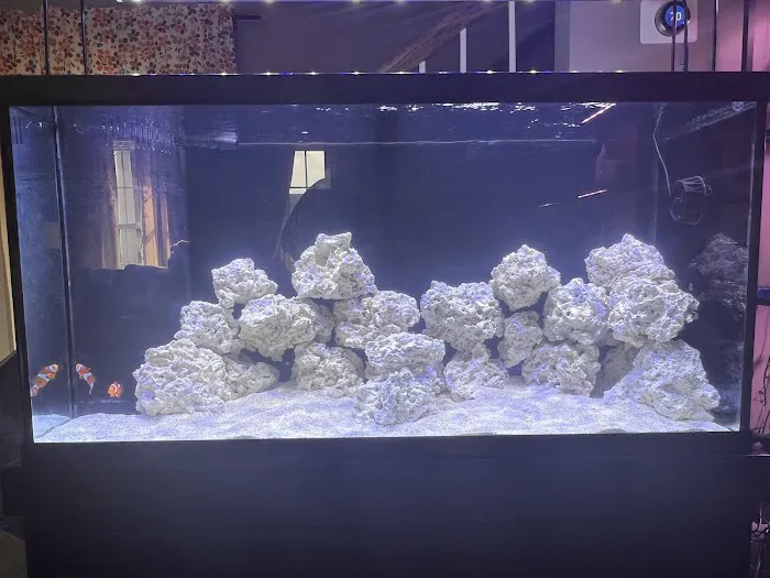 Zac's Reef Picture 5