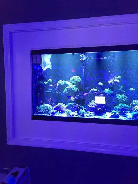 Zac's Reef Picture 1