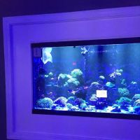 Zac's Reef ico