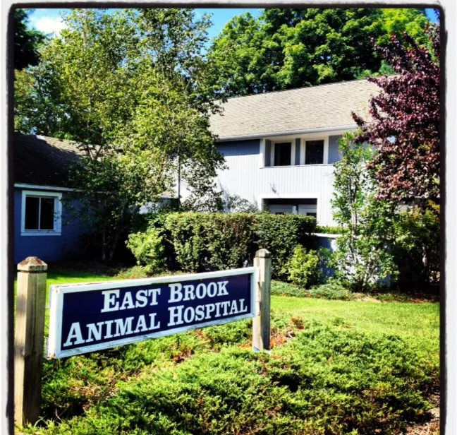East Brook Animal Hospital Picture 10