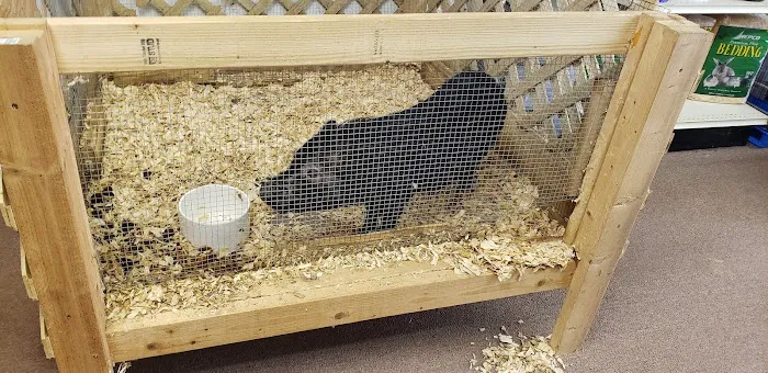 Two Guyz Pet Shop Picture 2