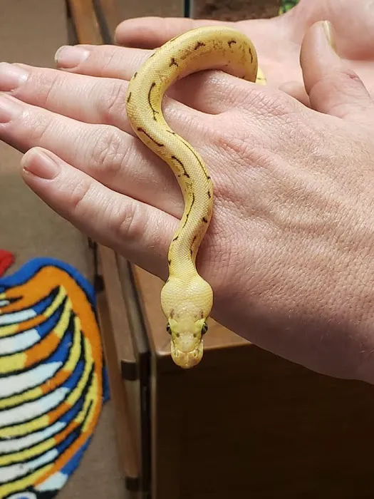 Two Guyz Pet Shop Picture 9