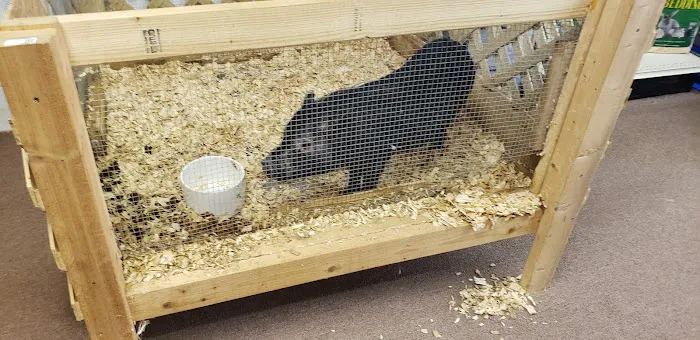 Two Guyz Pet Shop Picture 4