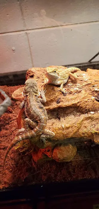 Two Guyz Pet Shop Picture 10