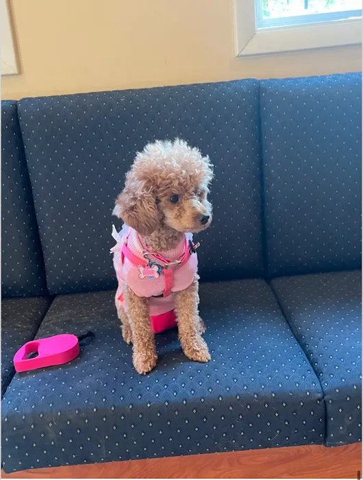 Kirby Veterinary Hospital Picture 10