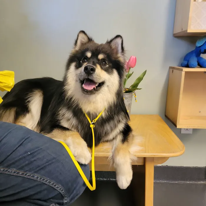 Kirby Veterinary Hospital Picture 6