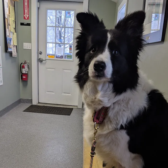 Kirby Veterinary Hospital Picture 9