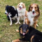 Kirby Veterinary Hospital