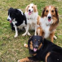 Kirby Veterinary Hospital ico
