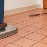 VCA Plainfield Animal Hospital