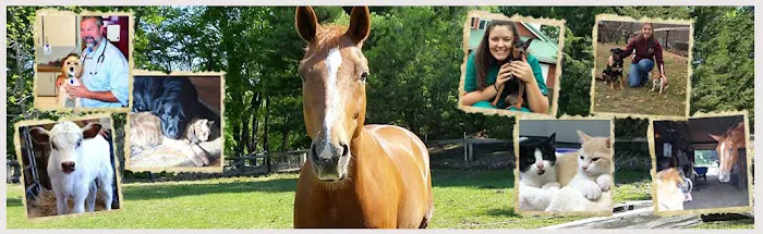 Beckett & Associates Veterinary Services Picture 2