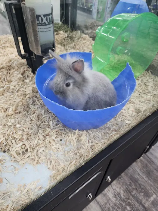 Pet Supermarket Picture 6