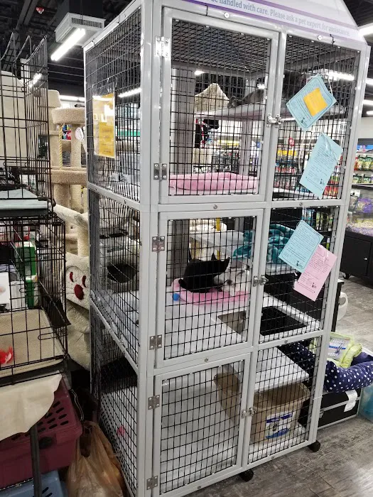 Pet Supermarket Picture 4